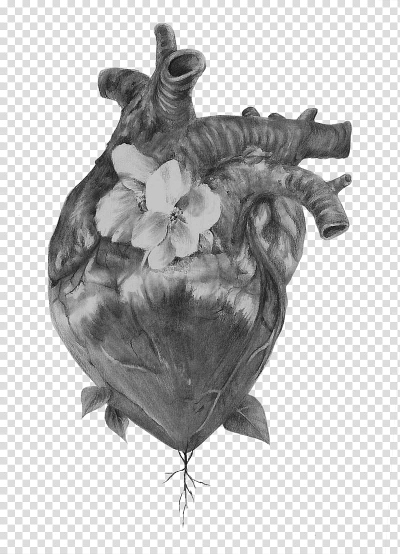 Floral Heart, Drawing, Anatomical Drawing, Pencil, Flower Drawings, Rooster, Doodle, Blackandwhite transparent background PNG clipart