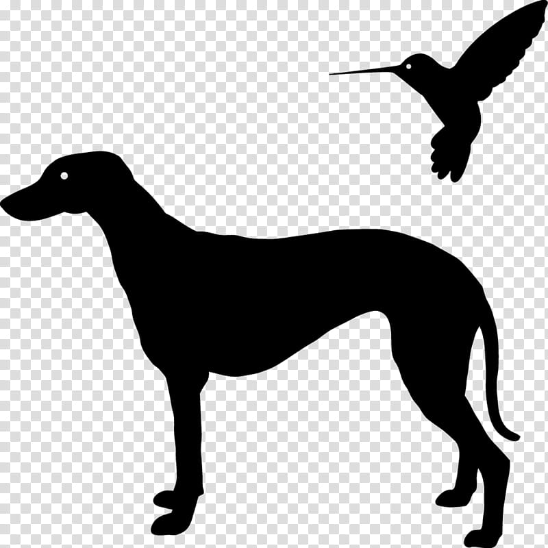 Dog Silhouette, Spanish Greyhound, Italian Greyhound, Sloughi, Whippet, , Artist, Dog Breed transparent background PNG clipart