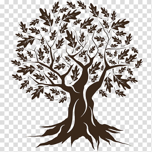 Tree Trunk Drawing, Oak, Silhouette, , Logo, Royaltyfree, Branch, Leaf transparent background PNG clipart