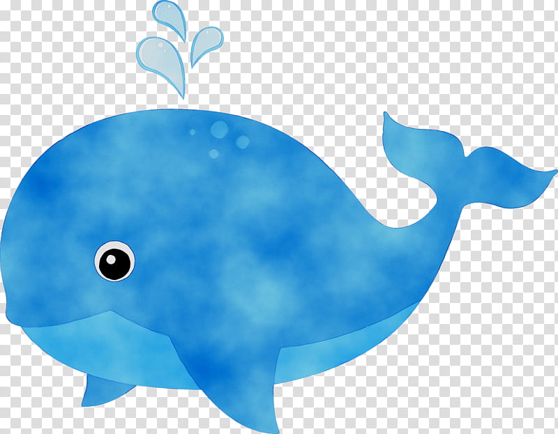 Whale, Sea Creatures, Animal, Aquatic Animal, Marine Life, Deep Sea Creature, Whales, Ocean transparent background PNG clipart