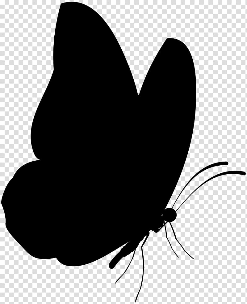 Butterfly Black And White, Brushfooted Butterflies, Black White M, Silhouette, Insect, Moths And Butterflies, Wing, Pollinator transparent background PNG clipart