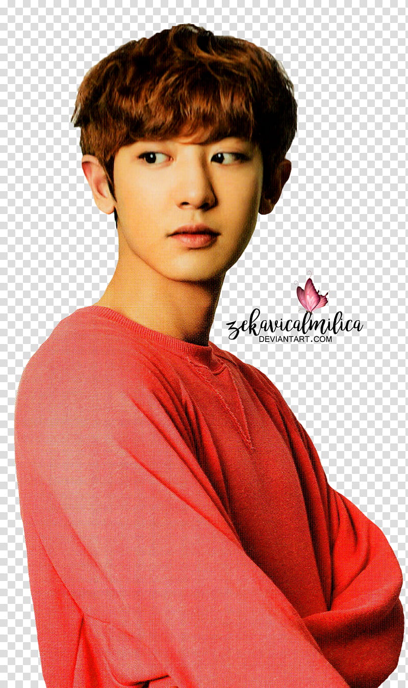 EXO Chanyeol EXO L Japan Vol , man looking sideways transparent background PNG clipart