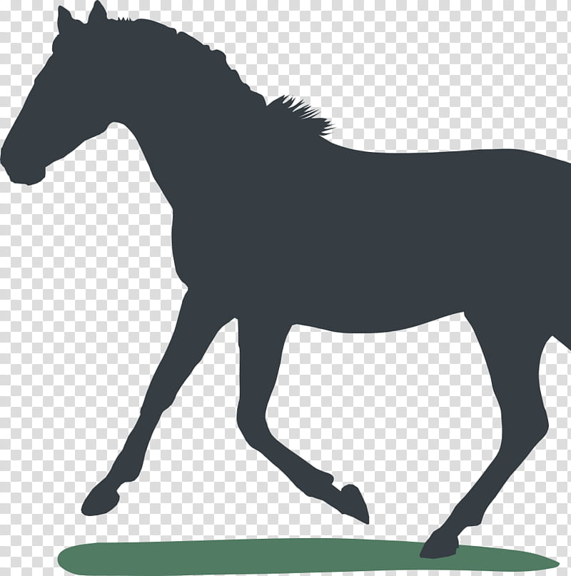 Love Black And White, Horse, Equestrian, Pony, Tshirt, Gift, Zazzle, Horse Blanket transparent background PNG clipart