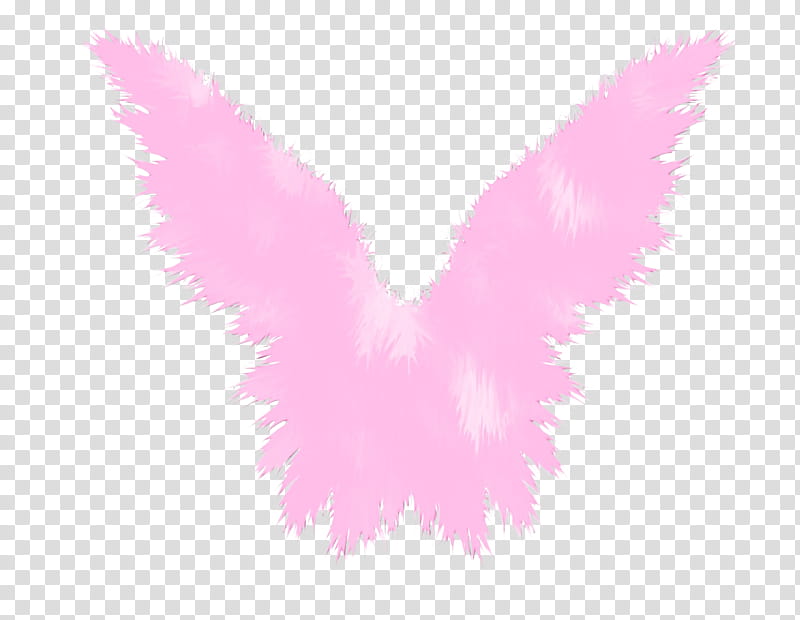 Feather, Watercolor, Paint, Wet Ink, Pink, Wing, Magenta transparent background PNG clipart