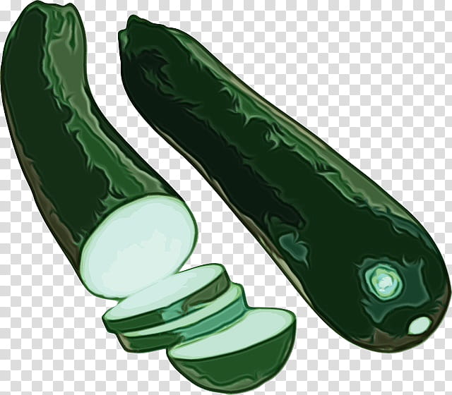 vegetable cucumber zucchini cucumber, gourd, and melon family cucumis, Watercolor, Paint, Wet Ink, Cucumber Gourd And Melon Family, Plant, Luffa, Vegetarian Food transparent background PNG clipart