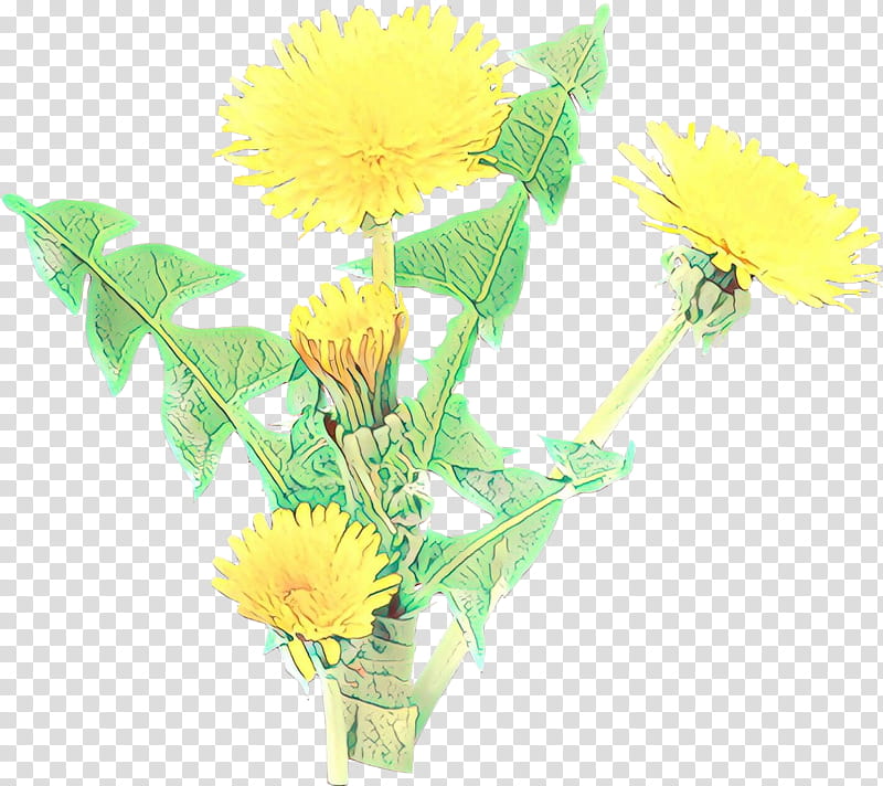 flower dandelion yellow cut flowers plant, Cartoon, Sow Thistles, English Marigold transparent background PNG clipart