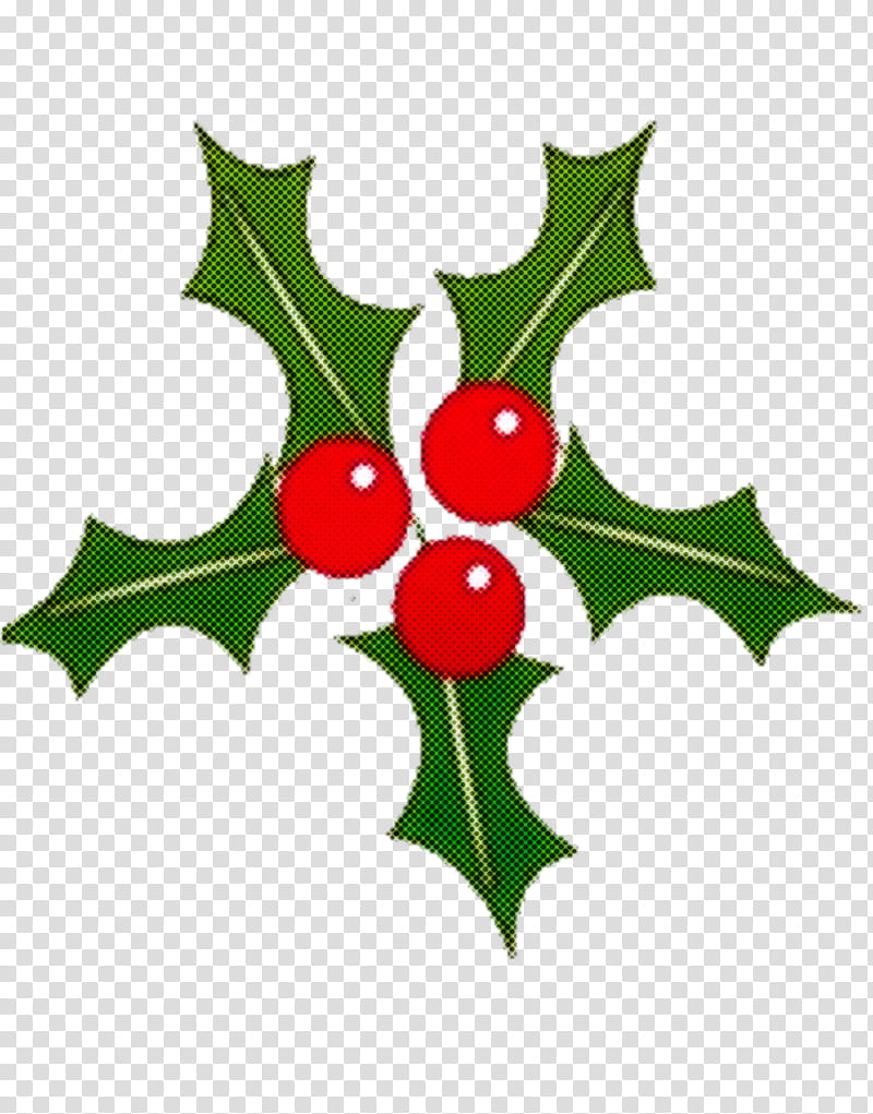 Holly, American Holly, Leaf, Plant, Flower, Hollyleaf Cherry, Tree, Plane transparent background PNG clipart