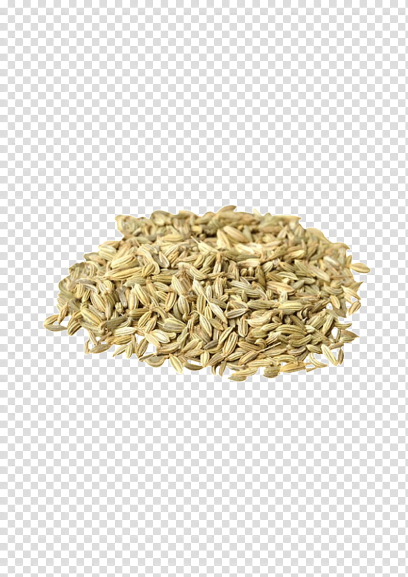 Cartoon Grass, Fennel, Ajwain, Food To Live, Fennel Seeds, Spice, Anise, Poppy Seed transparent background PNG clipart