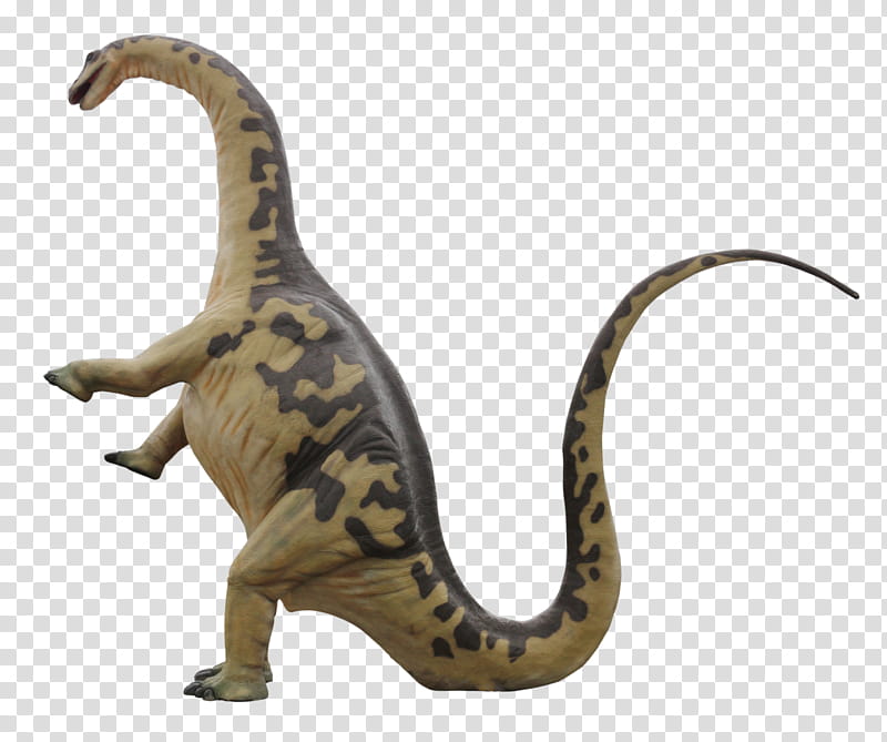 Dinosaurs , gray dinosaur transparent background PNG clipart