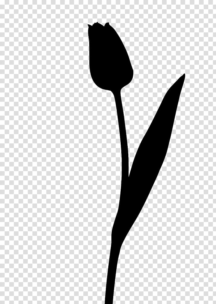 Tulip Flower, Plant Stem, Leaf, Line, Silhouette, Plants, Black M, Blackandwhite transparent background PNG clipart