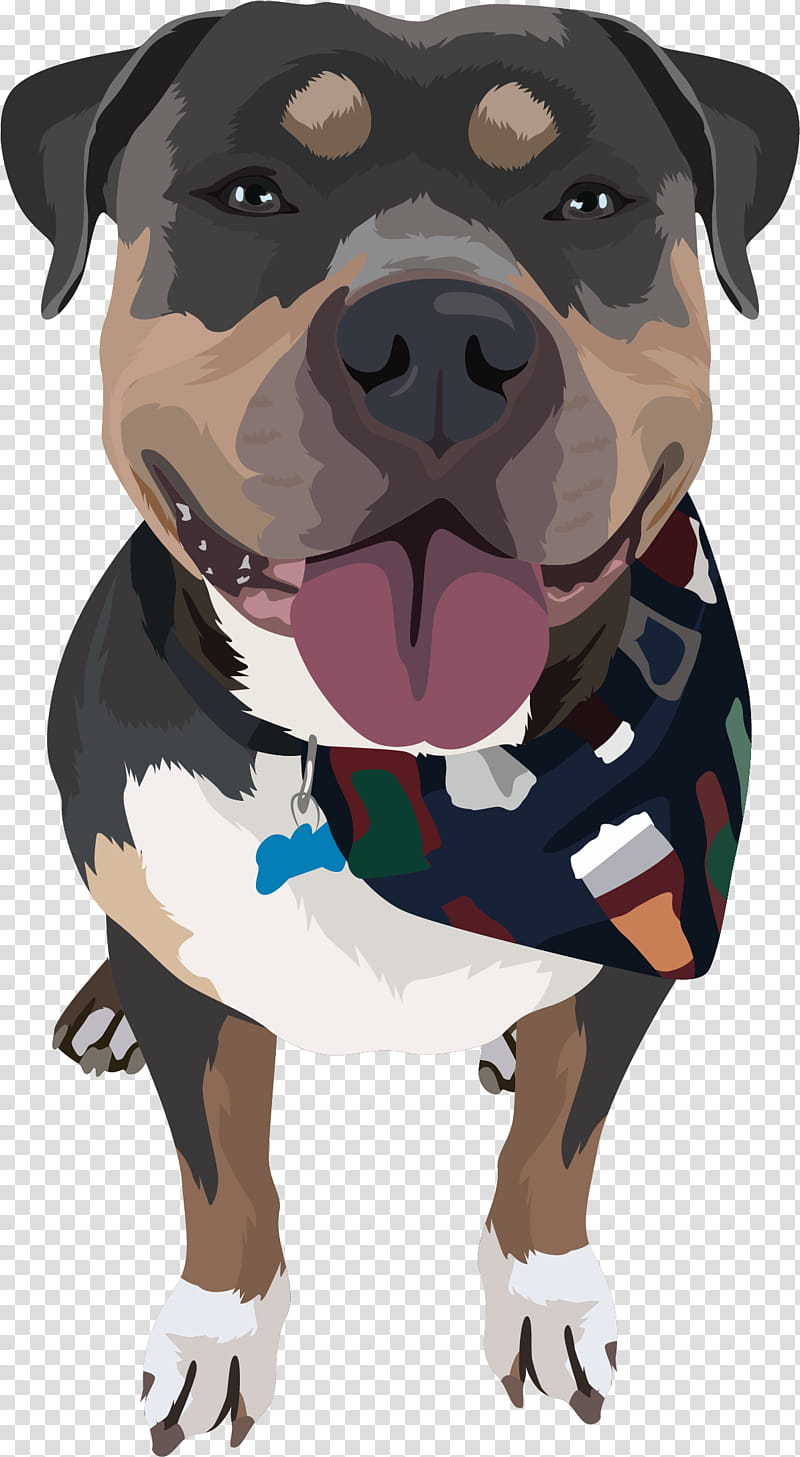 American Bulldog, American Pit Bull Terrier, Puppy, Breed, Dog Fighting, Companion Dog, Snout, Staffordshire Bull Terrier transparent background PNG clipart