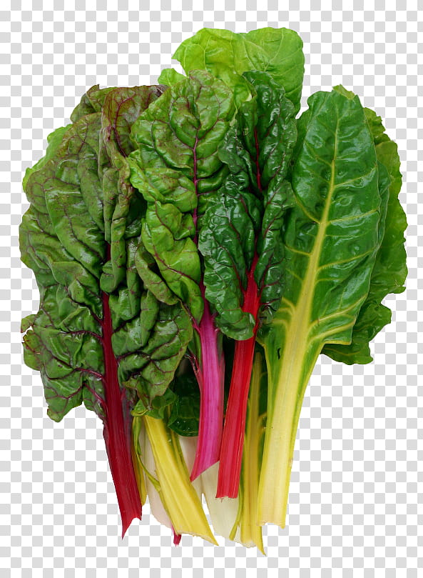 Spring, Chard, Vegetable, Greens, Beetroots, Recipe, Spinach, Food transparent background PNG clipart