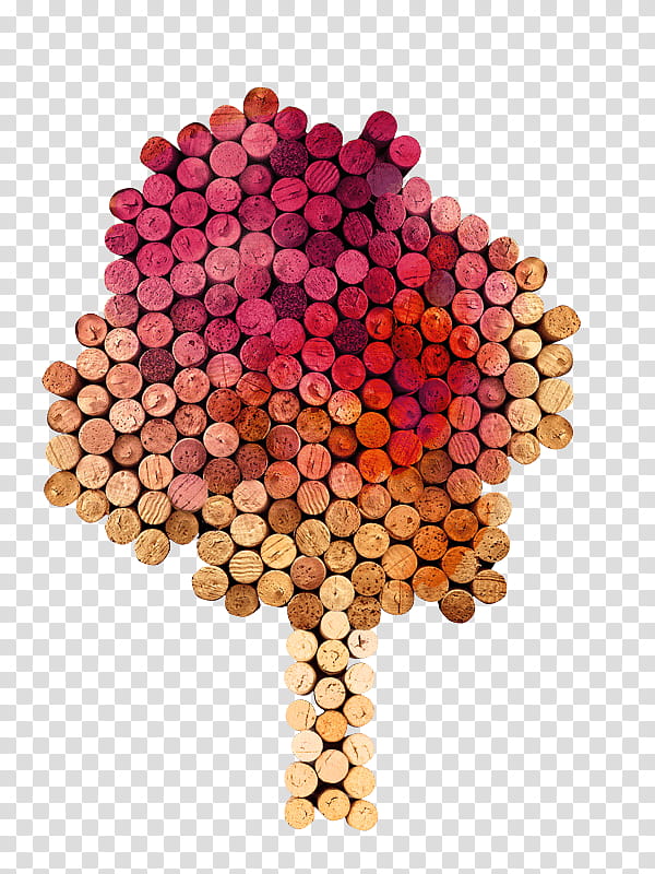 Wine, Fruit, Orange Sa, American Wine, Comingofage Fiction transparent background PNG clipart