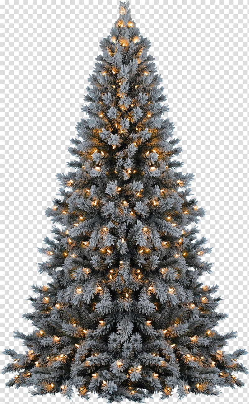 CHRISTMAS MEGA, Christmas tree with orange string lights transparent background PNG clipart