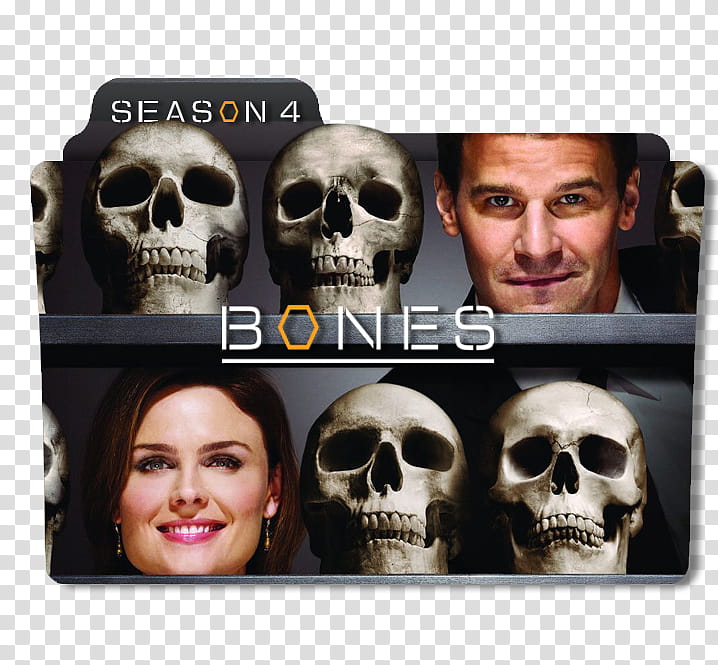 Bones Serie Folder, Bones Season  folder transparent background PNG clipart