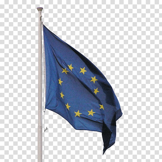 Business, European Commission, European Union, Election, Flag, European Parliament Election 2019, Advertising, President Of The European Commission transparent background PNG clipart