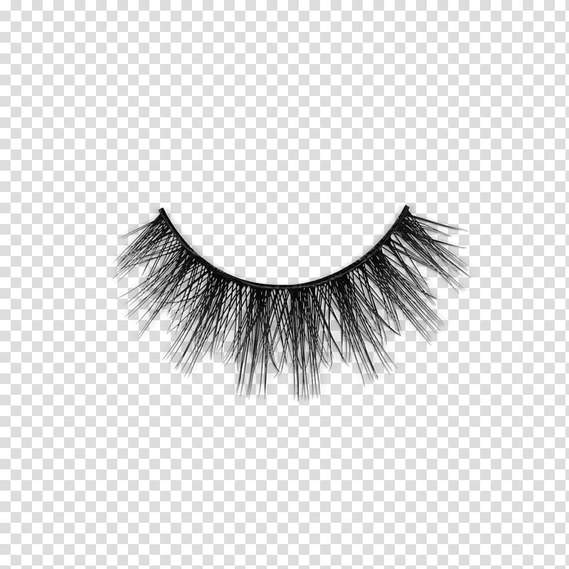 Hair, Huda Beauty Faux Mink Lash, Cosmetics, Beauty Parlour, Morphe, Hair Removal, Cover Fx, Fishpond Limited transparent background PNG clipart