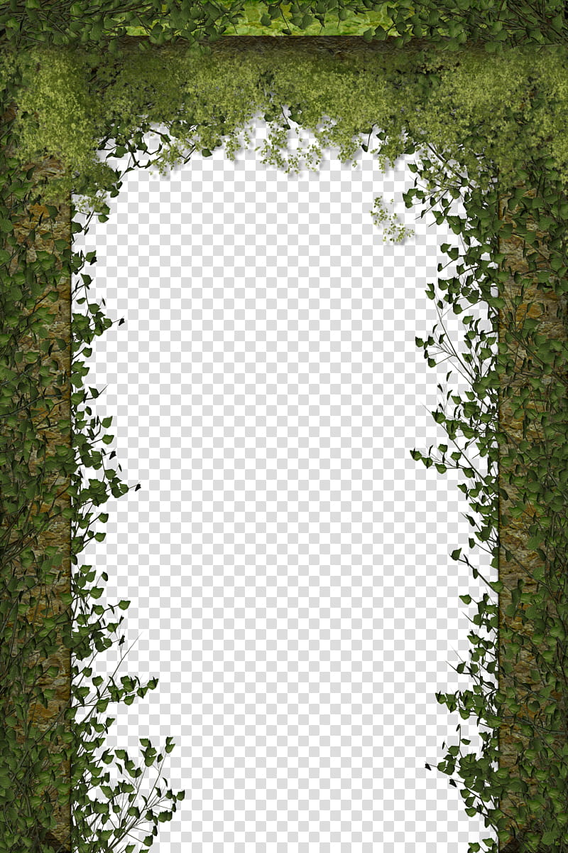 Entrance with Creeping Plants, green-leafed plant transparent background PNG clipart
