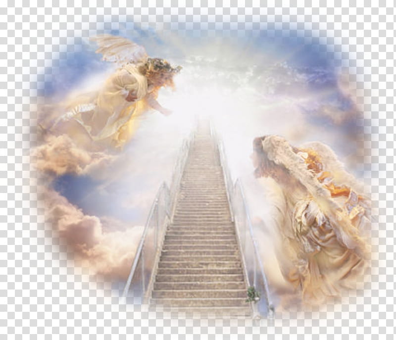 Jesus Heaven Depiction Of Jesus Ascension Of Jesus Child Hell Preacher Christianity Transparent Background Png Clipart Hiclipart