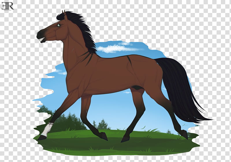 Trot transparent background PNG clipart