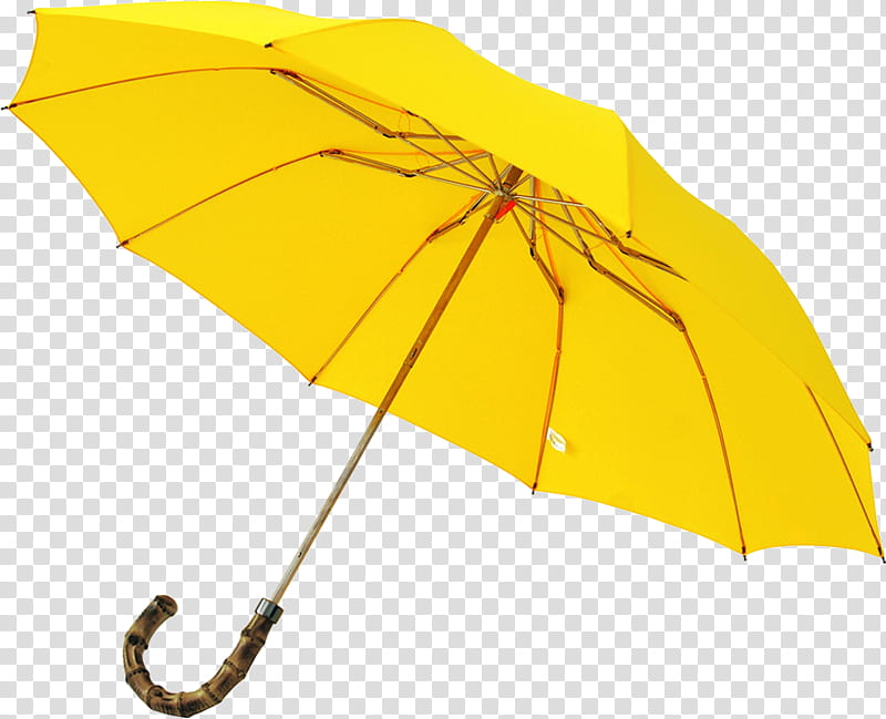 Autumn, yellow handheld umbrella transparent background PNG clipart