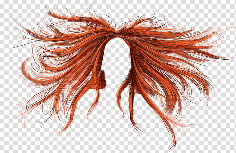 Phoenix Hair, orange hair wig illustration transparent background PNG clipart