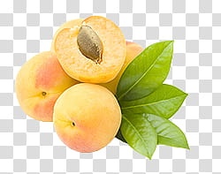 fruit, peach fruits transparent background PNG clipart