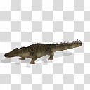Spore creature American crocodile , brown crocodile illustration transparent background PNG clipart