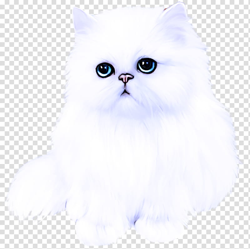 cat small to medium-sized cats persian whiskers british longhair, Small To Mediumsized Cats, Kitten, Himalayan transparent background PNG clipart