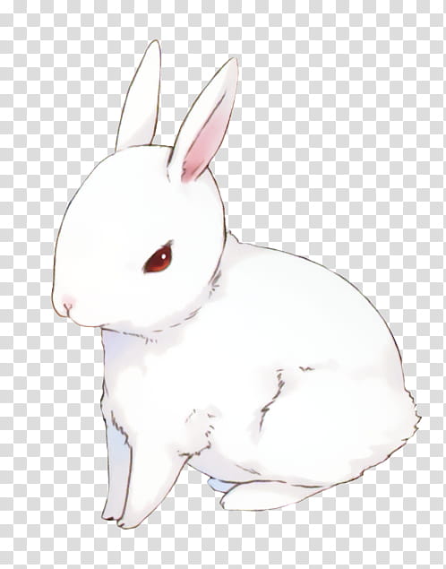 s, white rabbit illustration transparent background PNG clipart