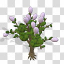 Spore Building Common Lilac , white flowers transparent background PNG clipart