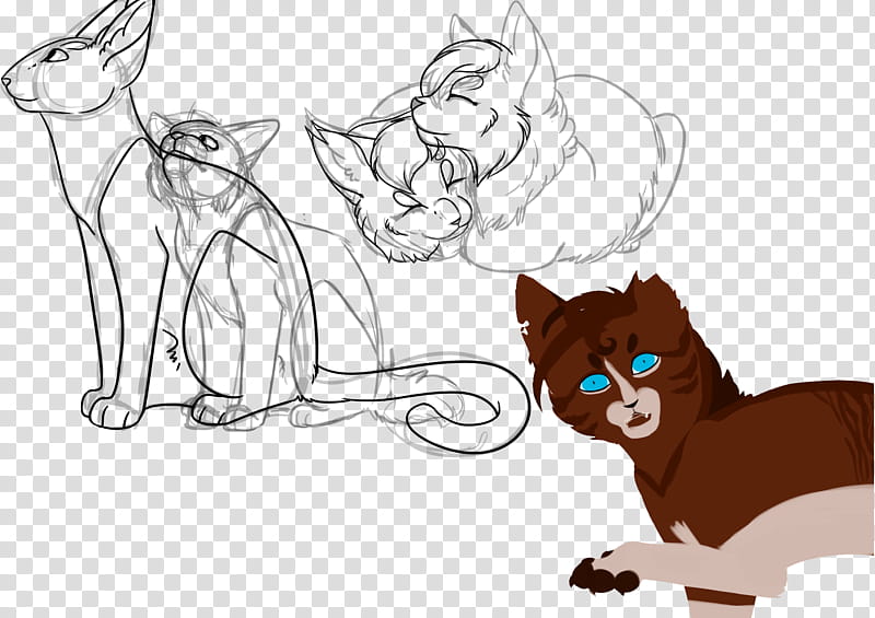 TGB Sketch Dumb  , brown cat illustration transparent background PNG clipart