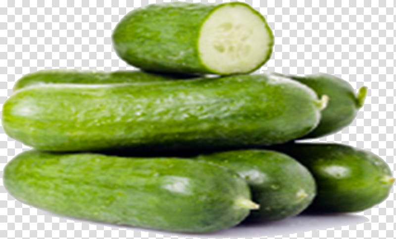 food vegetable cucumber natural foods cucumber, gourd, and melon family, Cucumber Gourd And Melon Family, Plant, Scarlet Gourd, Cucumis, Spreewald Gherkins, Pepino transparent background PNG clipart