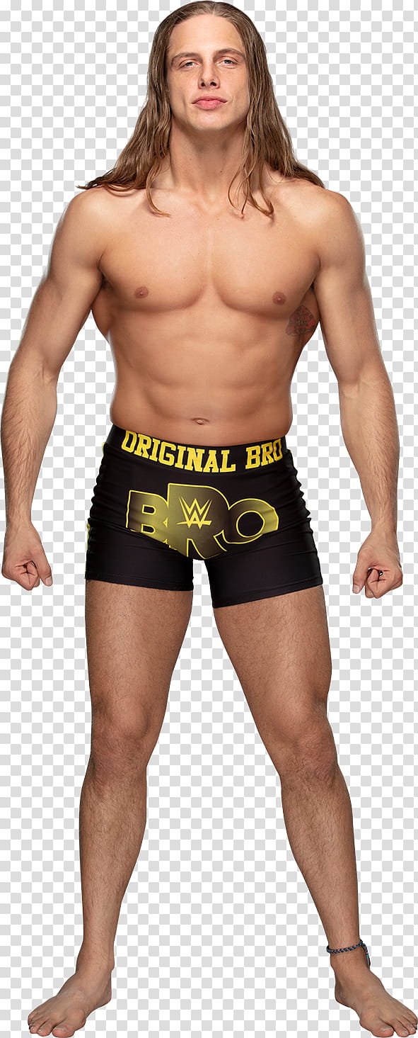 Matt Riddle () Stats transparent background PNG clipart