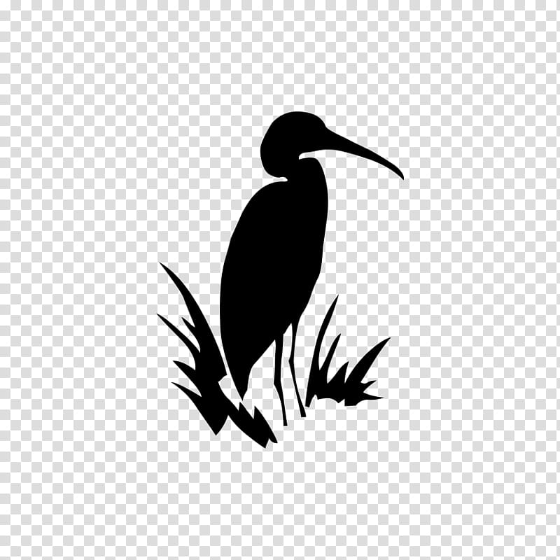 Crane Bird, Beak, Silhouette, Water Bird, Piciformes, Wildlife, Heron transparent background PNG clipart