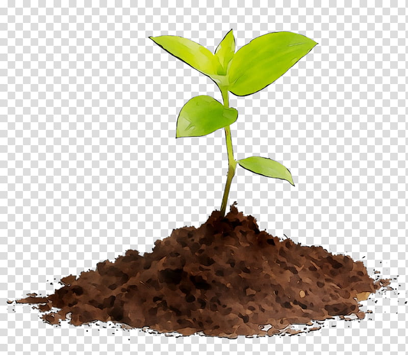 Arbor Day, Seedling, Compost, Soil, Plants, Root, Sowing, Tree Planting transparent background PNG clipart