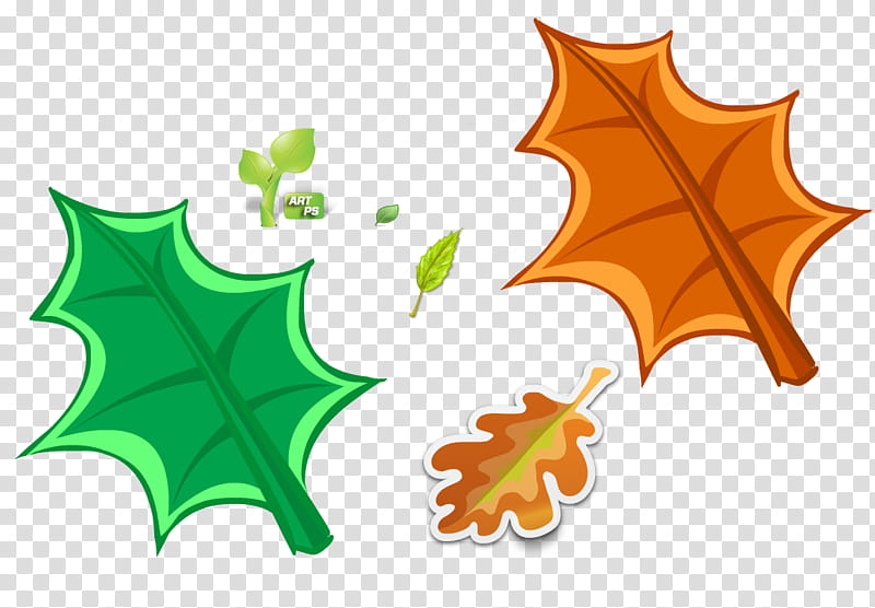 Green Leaf, Autumn, Autumn Leaf Color, Maple, Icon Design, Tree, Plant transparent background PNG clipart
