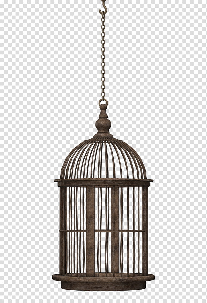 cylindrical brown bird cage transparent background PNG clipart
