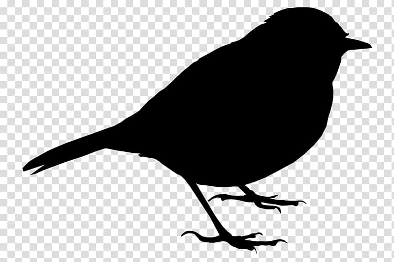 Robin Bird, Sparrow, Silhouette, House Sparrow, Eurasian Tree Sparrow, Beak, Blackbird, Songbird transparent background PNG clipart