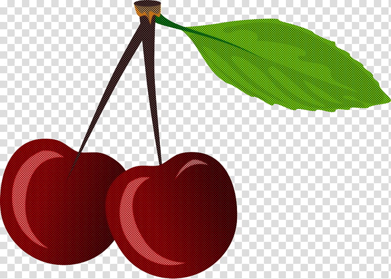 cherry leaf red plant tree, Fruit, Drupe, Prunus transparent background PNG clipart