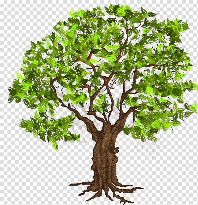 Autumn Winter Trees Green Leaf Tree Illustration Transparent Background Png Clipart Hiclipart