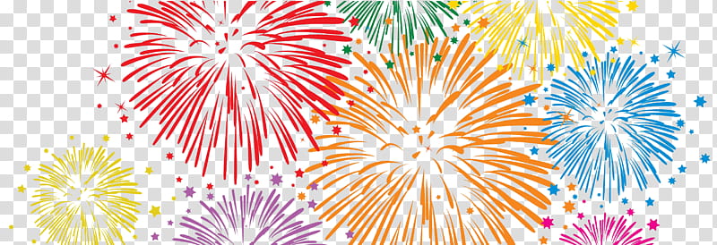 Flower Line, Fireworks, Event, Sky, Public Event, Recreation, Festival, Petal transparent background PNG clipart