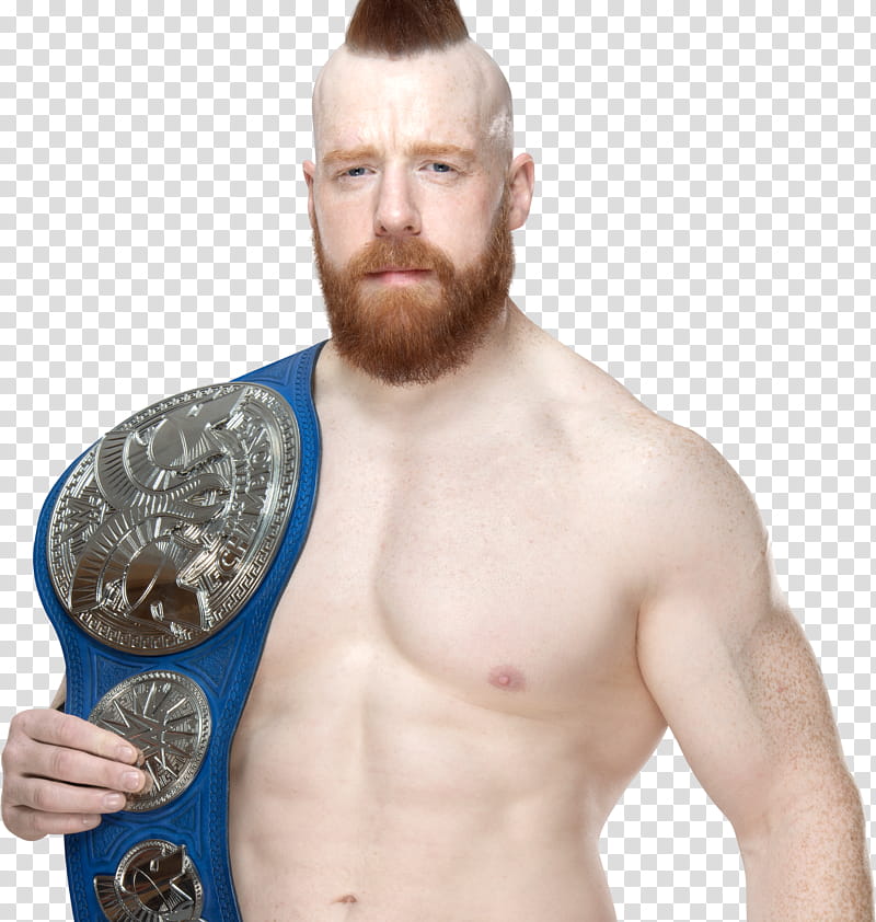 Sheamus NEW SDLIVE Tag Team Champion  transparent background PNG clipart