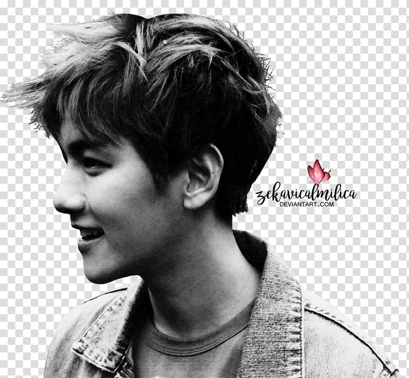 EXO Baekhyun Die Jungs transparent background PNG clipart
