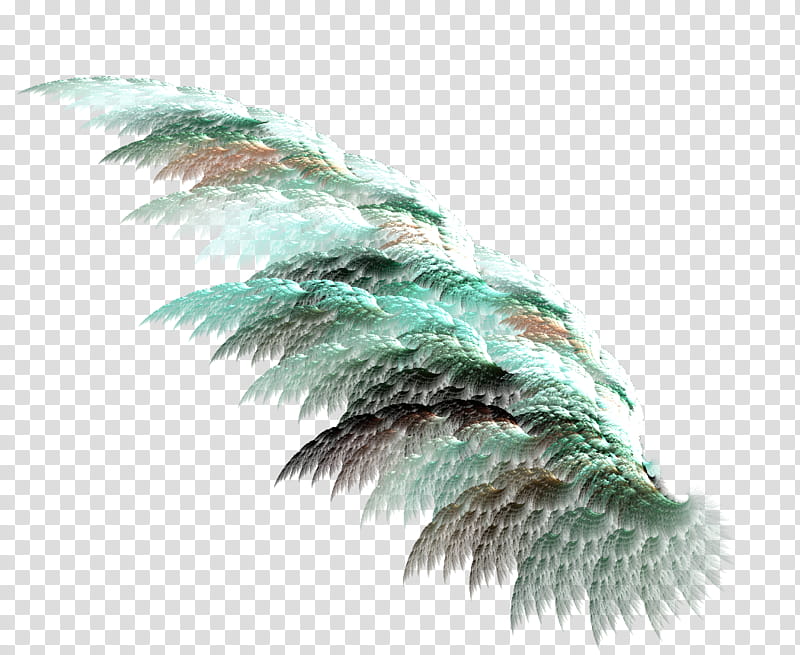 Fractal Wings , white, black, and green leaves illustration transparent background PNG clipart