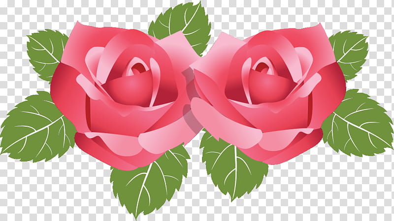 two flowers two roses valentines day, Garden Roses, Pink, Petal, Plant, Rose Family, Hybrid Tea Rose, Floribunda transparent background PNG clipart