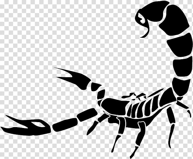 Scorpio, Scorpion, Logo, Stencil, Arachnid, Decapoda, Line Art, Pest transparent background PNG clipart