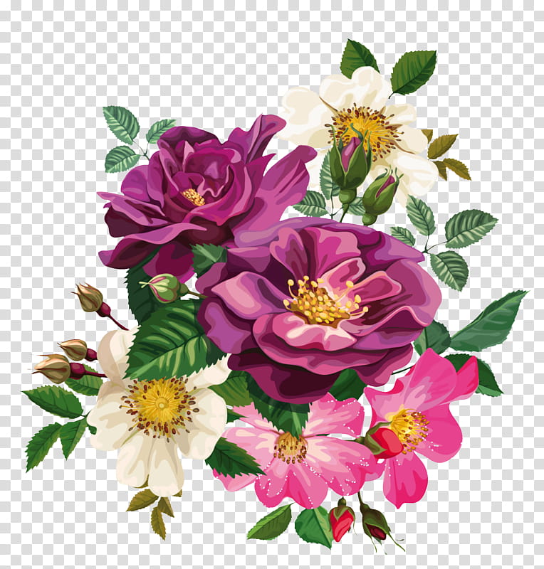 Rose, Flower, Flowering Plant, Petal, Pink, Bouquet, Prickly Rose, Cut Flowers transparent background PNG clipart