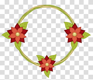 Christmas Decoration, Flower, Petal, Christmas Ornament, Floral Design, Radio Broadcasting, Christmas Day, Color transparent background PNG clipart thumbnail