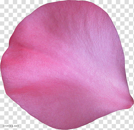 Large Flower , pink flower petal transparent background PNG clipart
